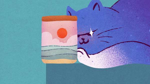 Mizi NO! review