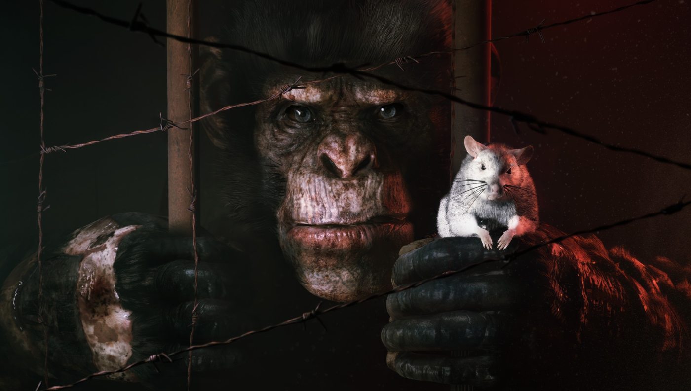Animal Use Protocol