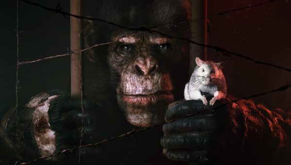 Animal Use Protocol