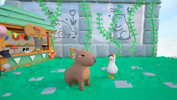 Dodo Duckie Puzzle-Platformer