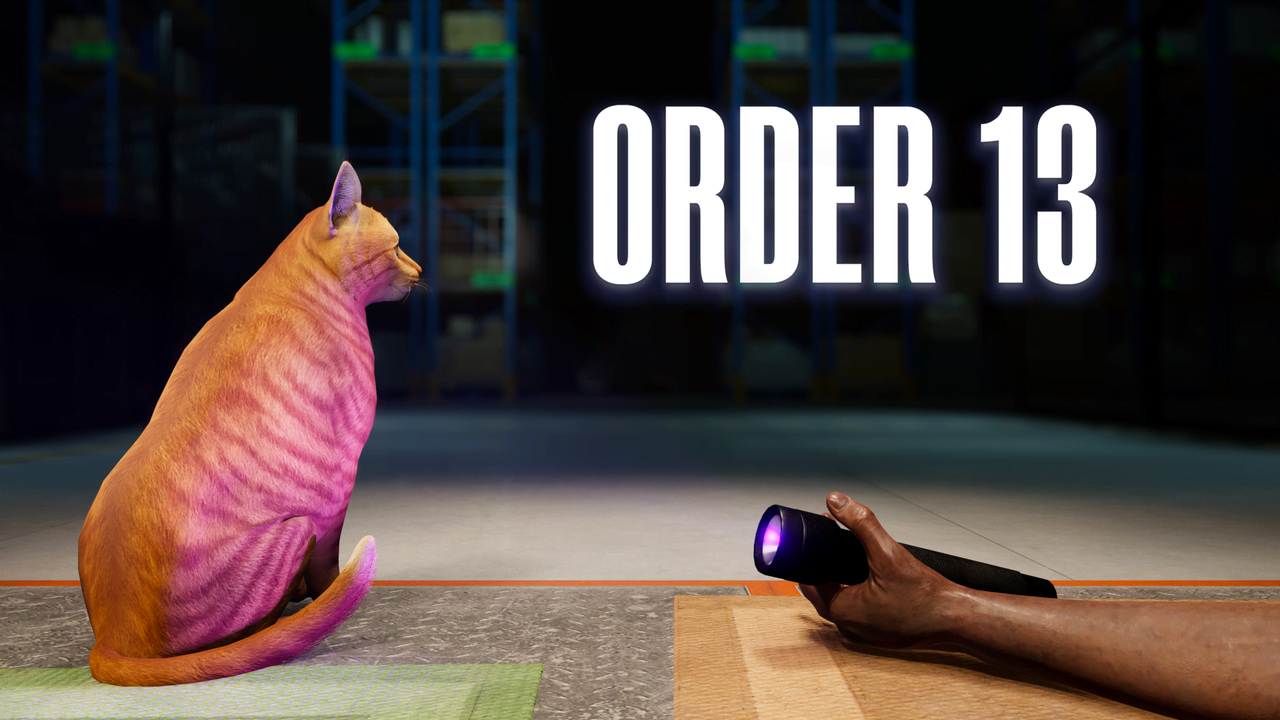 Order 13 PS5 Xbox Series X|S
